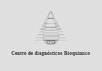 imagen 41